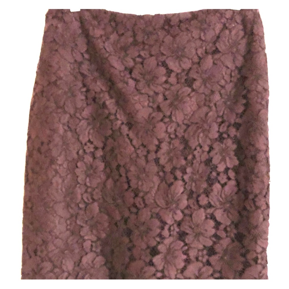 NWT Anne Taylor Lace skirt